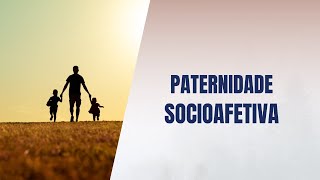 Paternidade socioafetiva [upl. by Oiciruam763]