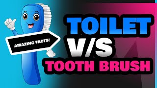 Toilet and Tooth Brush [upl. by Macgregor615]