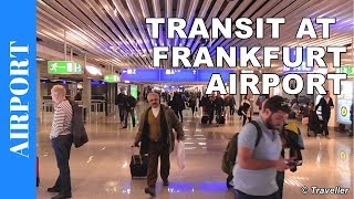 TRANSIT WALK AT FRANKFURT Airport FRA Terminal 1  Connection Flight Transfer Arriving amp Departing [upl. by Lin581]